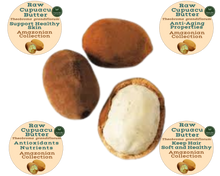 Load image into Gallery viewer, Nativilis Amazonian Raw Cupuacu Butter (Theobroma grandiflorum) - Helps seal in moisture to rehydrate skin and hair increase suppleness and decrease signs of aging like fine lines wrinkles – Copaiba