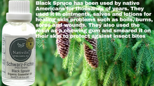 Load image into Gallery viewer, Nativilis Organic Black Spruce Essential Oil (Picea mariana) - 100% Natural - 30ml - (GC/MS Tested)