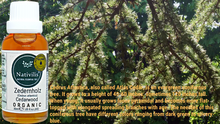 Load image into Gallery viewer, Nativilis Organic Cedarwood Essential Oil (Cedrus atlantica) - 100% Natural - 30ml - (GC/MS Tested)