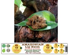 Load image into Gallery viewer, Nativilis AMAZONIAN LIP BALM DOUBLE ACTION FORMULA WITH PRACAXI SEED OIL (Pentaclethra macroloba) + BACURI BUTTER (Platonia insignis) Moisturises Dry Lips and Heals Chapped Lips - Toned Lips - Copaiba