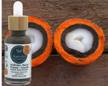 Load image into Gallery viewer, Nativilis URSOLIC ACID enriched with 04 Amazonian Rainforest Bio Oil - ANDIROBA BACURI PRACAXI TUCUMA - Relief skin injuries aesthetic processes peelings laser hair removals Soothing effect Copaiba