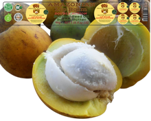 Load image into Gallery viewer, Nativilis AMAZONIAN LIP BALM DOUBLE ACTION FORMULA WITH PRACAXI SEED OIL (Pentaclethra macroloba) + BACURI BUTTER (Platonia insignis) Moisturises Dry Lips and Heals Chapped Lips - Toned Lips - Copaiba