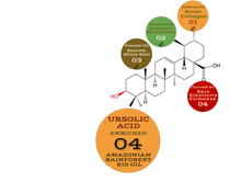 Load image into Gallery viewer, Nativilis URSOLIC ACID enriched with 04 Amazonian Rainforest Bio Oil - ANDIROBA BACURI PRACAXI TUCUMA - Relief skin injuries aesthetic processes peelings laser hair removals Soothing effect Copaiba