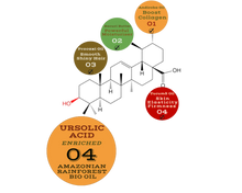 Load image into Gallery viewer, Nativilis URSOLIC ACID enriched with 04 Amazonian Rainforest Bio Oil - ANDIROBA BACURI PRACAXI TUCUMA - Relief skin injuries aesthetic processes peelings laser hair removals Soothing effect Copaiba