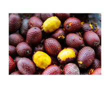 Load image into Gallery viewer, Nativilis Amazonian Buriti Oils (Mauritia flexuosa) Moriche – Aguaje – Richest source Beta-Carotene Vitamin A 20X More than Carrots – emollient rebuild moisturize re-hydrate skin cells - Copaiba