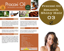 Load image into Gallery viewer, Nativilis URSOLIC ACID enriched with 04 Amazonian Rainforest Bio Oil - ANDIROBA BACURI PRACAXI TUCUMA - Relief skin injuries aesthetic processes peelings laser hair removals Soothing effect Copaiba