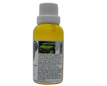 Load image into Gallery viewer, Nativilis Organic Cypress Essential Oil (Cupressus sempervirens) - 100% Natural - 30ml - (GC/MS Tested)