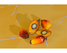 Load image into Gallery viewer, Nativilis Ojon Oil - Caiaue - (Elaeis oleifera) NATURAL HAIR SKIN BOOSTER Rainforest Virgin Oil - revitalizes damaged follicles helps effective hair growth volumize and get tame frizz – Copaiba