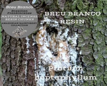 Load image into Gallery viewer, Nativilis Brazilian Frankincense - AMAZONIAN BREU BRANCO NATURAL INCENSE RESIN CHUNKS - Protium heptaphyllum - Shamanic traditional healing practices accompanying prayer - sacred purposes - Ayahuasca ceremony practitioners - Copaiba