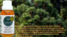 Load image into Gallery viewer, Nativilis Organic Cedarwood Essential Oil (Cedrus atlantica) - 100% Natural - 30ml - (GC/MS Tested)