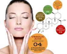 Load image into Gallery viewer, Nativilis URSOLIC ACID enriched with 04 Amazonian Rainforest Bio Oil - ANDIROBA BACURI PRACAXI TUCUMA - Relief skin injuries aesthetic processes peelings laser hair removals Soothing effect Copaiba
