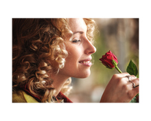 Load image into Gallery viewer, Nativilis Organic Rose Otto Essential Oil Blend 5% (Rosa damascena/Argania spinosa) - 100% Natural - 30ml - (GC/MS Tested)