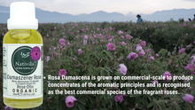 Load image into Gallery viewer, Nativilis Organic Rose Otto Essential Oil Blend 5% (Rosa damascena/Argania spinosa) - 100% Natural - 30ml - (GC/MS Tested)