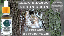 Load image into Gallery viewer, Nativilis Brazilian Frankincense - BREU BRANCO VIRGIN RESIN UNREFINED - Protium heptaphyllum - Amazonian natural resin oil properties anti-inflammatory antiseptic analgesic soothing exfoliant for dry and oily skin - Copaiba