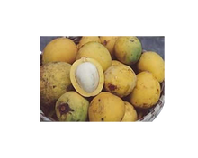 Load image into Gallery viewer, Nativilis TRIPLE Virgin Amazonian Rainforest Bio Oil - ANDIROBA - BACURI – PRACAXI - enriched 03 vegetable oils concentrated active efficacy treatment prevention cellulitis - Copaiba