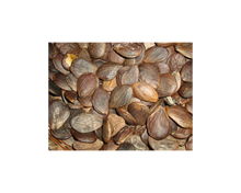 Load image into Gallery viewer, Nativilis TRIPLE Virgin Amazonian Rainforest Bio Oil - ANDIROBA - BACURI – PRACAXI - enriched 03 vegetable oils concentrated active efficacy treatment prevention cellulitis - Copaiba