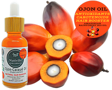 Load image into Gallery viewer, Nativilis Ojon Oil - Caiaue - (Elaeis oleifera) NATURAL HAIR SKIN BOOSTER Rainforest Virgin Oil - revitalizes damaged follicles helps effective hair growth volumize and get tame frizz – Copaiba