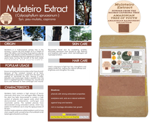 Load image into Gallery viewer, Nativilis MULATEIRO EXTRACT POWDER FROM THE SACRED CAPIRONA TREE- Calycophyllum spruceanum - AMAZONIAN TREE OF YOUTH - Skin and Hair Care - Anti-aging - Antifungal - Wound-healing properties - Copaiba