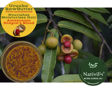 Load image into Gallery viewer, Nativilis Amazonian Raw Ucuuba Butter (Virola surinamensis) - Nourishes Moisturizes Hair Restores Elasticity - Repairs Damaged Scalp keeping Healthy – Amazonian Dragon's Blood – Copaiba