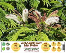 Load image into Gallery viewer, Nativilis AMAZONIAN LIP BALM DOUBLE ACTION FORMULA WITH PRACAXI SEED OIL (Pentaclethra macroloba) + BACURI BUTTER (Platonia insignis) Moisturises Dry Lips and Heals Chapped Lips - Toned Lips - Copaiba