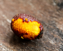 Load image into Gallery viewer, Nativilis Amazonian Buriti Oils (Mauritia flexuosa) Moriche – Aguaje – Richest source Beta-Carotene Vitamin A 20X More than Carrots – emollient rebuild moisturize re-hydrate skin cells - Copaiba