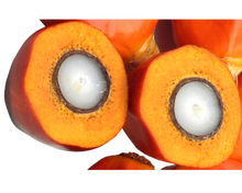 Load image into Gallery viewer, Nativilis Ojon Oil - Caiaue - (Elaeis oleifera) NATURAL HAIR SKIN BOOSTER Rainforest Virgin Oil - revitalizes damaged follicles helps effective hair growth volumize and get tame frizz – Copaiba