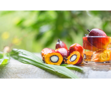 Load image into Gallery viewer, Nativilis Ojon Oil - Caiaue - (Elaeis oleifera) NATURAL HAIR SKIN BOOSTER Rainforest Virgin Oil - revitalizes damaged follicles helps effective hair growth volumize and get tame frizz – Copaiba