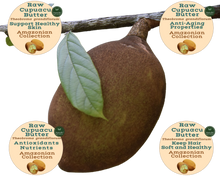 Load image into Gallery viewer, Nativilis Amazonian Raw Cupuacu Butter (Theobroma grandiflorum) - Helps seal in moisture to rehydrate skin and hair increase suppleness and decrease signs of aging like fine lines wrinkles – Copaiba