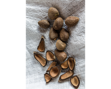 Load image into Gallery viewer, Nativilis Murumuru Butter | Nativilis Natural Essential Oils