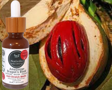 Load image into Gallery viewer, Nativilis Amazonian Dragon’s Blood (trilipid complex enriched) Virgin Rainforest Bio Oil - UCUUBA - BACURI – PRACAXI – anti-stretch marks properties stimulating the production of collagen - Copaiba