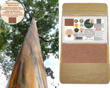 Load image into Gallery viewer, Nativilis MULATEIRO EXTRACT POWDER FROM THE SACRED CAPIRONA TREE- Calycophyllum spruceanum - AMAZONIAN TREE OF YOUTH - Skin and Hair Care - Anti-aging - Antifungal - Wound-healing properties - Copaiba