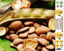 Load image into Gallery viewer, Nativilis AMAZONIAN LIP BALM DOUBLE ACTION FORMULA WITH PRACAXI SEED OIL (Pentaclethra macroloba) + BACURI BUTTER (Platonia insignis) Moisturises Dry Lips and Heals Chapped Lips - Toned Lips - Copaiba