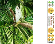 Load image into Gallery viewer, Nativilis AMAZONIAN LIP BALM DOUBLE ACTION FORMULA WITH PRACAXI SEED OIL (Pentaclethra macroloba) + BACURI BUTTER (Platonia insignis) Moisturises Dry Lips and Heals Chapped Lips - Toned Lips - Copaiba