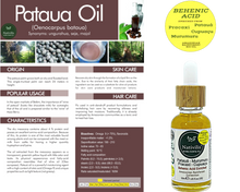 Load image into Gallery viewer, Nativilis BEHENIC ACID enriched from 04 Amazonian Rainforest Bio Oil - PATAUA PRACAXI MURUMURU CUPUACU- boosts hydration levels, reducing frizz and curl volume, leaving hair shiny - Copaiba Media 1 of 17