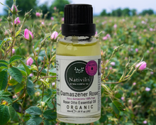 Load image into Gallery viewer, Nativilis Organic Rose Otto Essential Oil (Rosa damascena) - 100% Pure and Natural - 30ml - (GC/MS Tested) -
