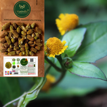 Load image into Gallery viewer, Nativilis Amazonian Jambu Flower 30g | Plant-Based Muscle Relaxing Sensation | Spilanthol-Rich | Dried Vegan Herb - (1.06 oz) US - Acmella Oleracea
