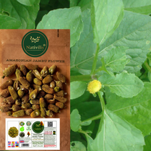 Load image into Gallery viewer, Nativilis Amazonian Jambu Flower 30g | Plant-Based Muscle Relaxing Sensation | Spilanthol-Rich | Dried Vegan Herb - (1.06 oz) US - Acmella Oleracea
