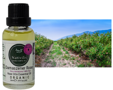 Load image into Gallery viewer, Nativilis Organic Rose Otto Essential Oil (Rosa damascena) - 100% Pure and Natural - 30ml - (GC/MS Tested) -
