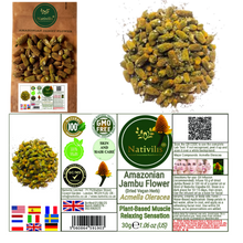 Load image into Gallery viewer, Nativilis Amazonian Jambu Flower 30g | Plant-Based Muscle Relaxing Sensation | Spilanthol-Rich | Dried Vegan Herb - (1.06 oz) US - Acmella Oleracea

