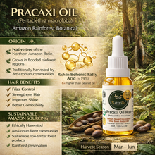 Load image into Gallery viewer, Pracaxi Oil – Pure Amazon Rainforest Hair Oil, Anti-Frizz Serum &amp; Deep Hydration for Smooth, Shiny Hair &amp; Scalp (30 ml)
