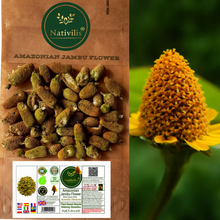 Load image into Gallery viewer, Nativilis Amazonian Jambu Flower 30g | Plant-Based Muscle Relaxing Sensation | Spilanthol-Rich | Dried Vegan Herb - (1.06 oz) US - Acmella Oleracea

