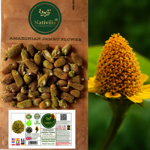 Nativilis Amazonian Jambu Flower 30g | Plant-Based Muscle Relaxing Sensation | Spilanthol-Rich | Dried Vegan Herb - (1.06 oz) US - Acmella Oleracea