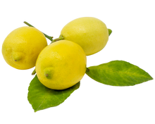 Load image into Gallery viewer, Nativilis Lemon Organic Essential Oil 30 ml (Citrus limon) - Absorbent antibacterial antifungal fight against acne facial cleanser - Copaiba Properties
