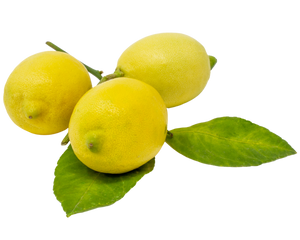Nativilis Lemon Organic Essential Oil 30 ml (Citrus limon) - Absorbent antibacterial antifungal fight against acne facial cleanser - Copaiba Properties