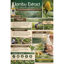 Load image into Gallery viewer, Nativilis Jambu Spilanthol Golden Amazonian Bioactive Oil - Spilanthes Acmella Oleracea Extract - High Viscosity - Better Skin Penetration 100% Natural Botox Alternative - Relax facial muscles reduce wrinkles antioxidant properties Copaiba - 30 ml
