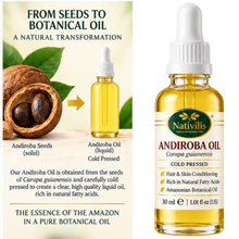 Load image into Gallery viewer, Nativilis Andiroba Oil – 100% Pure Carapa Guianensis Seed Oil – Amazonian Botanical Care for Hair, Scalp, Face &amp; Body – Cold Pressed – 30 ml
