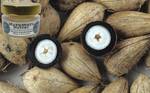 Nativilis Murumuru Butter Virgin Deodorized (Astrocaryum murumuru) – Less frizzy hair - Won’t clog your pores – Copaiba properties - FG