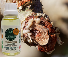 Load image into Gallery viewer, Nativilis Frankincense Carterii Olibanum Oil Oman (Boswellia Carterii ) - natural anti-acne anti-wrinkle improve oral hygiene prevent gum disease antibacterial properties - Copaiba properties 30ml Media 1 of 36
