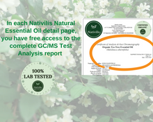 Load image into Gallery viewer, Nativilis Organic Tea Tree Essential Oil (Melaleuca alternifolia) - 100% Natural - 30ml - (GC/MS Tested)

