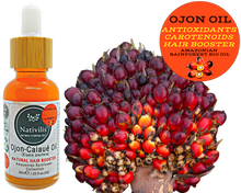 Load image into Gallery viewer, Nativilis Ojon Oil - Caiaue - (Elaeis oleifera) NATURAL HAIR SKIN BOOSTER Rainforest Virgin Oil - revitalizes damaged follicles helps effective hair growth volumize and get tame frizz – Copaiba
